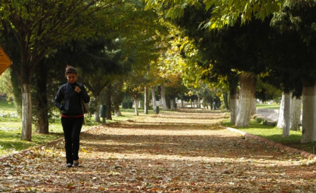 Gaziantep'te Gazel Depeleme Zamanı... Gaziantep'e Has Gazel Depeleme Geleneği Nedir? 3